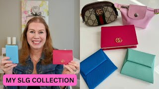 My Entire Small Leather Goods Collection 2024!!!