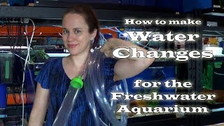 How to make Water Changes in Freshwater Aquariums