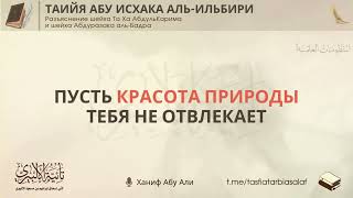 Пусть красота природы тебя не отвлекает | Ханиф Абу Али