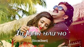 #Tu jaan hau ho🎶🥰 bhojpuri || Love full 💖slow and Reverb || song pawan singh