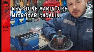 Revisione variatore microcar casalini ydea