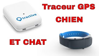 📡 Traceur GPS chat et chien - Tractive Traceur GPS