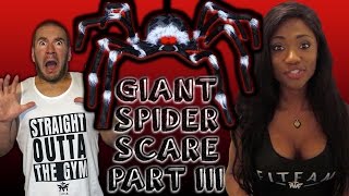 Hot Girl Giant Spider Scare Prank Part III