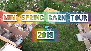 Schleich Mini Spring Barn Tour 2019