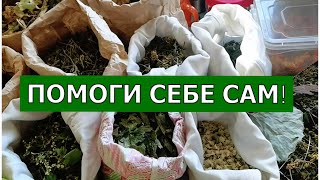 Помоги себе сам БЕСПЛАТНО, или как болеть меньше. Моя Аптека