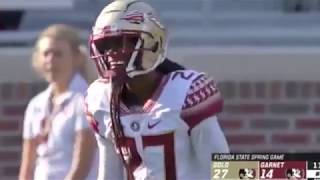 Florida State Found Their Next Superstar! | Akeem Dent 2019 Spring Game Highlights ᴴᴰ