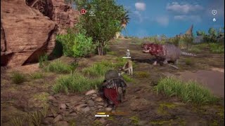 Leopard vs Hipo (AC Origins)