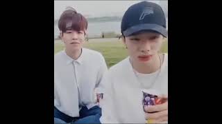 Some scary thing in stray kids #straykids#skz#stay#hyunjin #leeknow#felix#bangchan#kpop#shorts