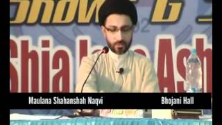 Allama Shehanshah Hussain Naqvi's briefing about Qayadat