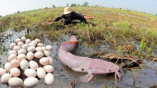 Best fishing-Wow it's amazing today fisherwoman found many Eggs and catch fish   at field