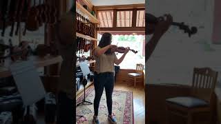 KRUTZ Avant 800 Violin - St. Louis Strings