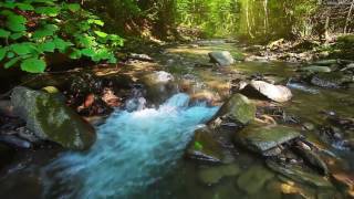 Música Relaxante  Flauta e Sons da Natureza   Acalmar a Mente e Relaxar