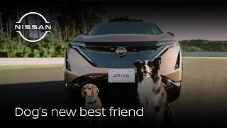 Nissan e-4ORCE becomes a dog’s best friend