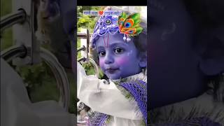 yashoda ka nandlala । little Krishna #janamashtami_status #krishana_shorts #yt #status #viral