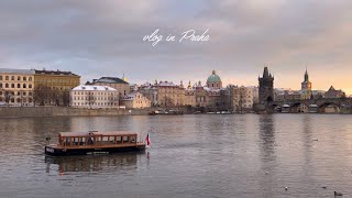 (eng) 🇨🇿 Praha vlog. 눈오는 프라하 여행 브이로그. 짧지만 알찬 3일의 기록. 카페 루브르. 나세마소. 까를교. 카페 사보이. 프라하성. 레두타 재즈 클럽🎷