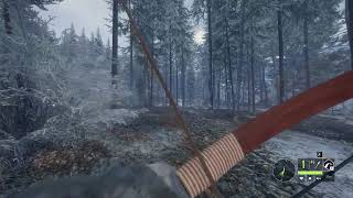 HUNTING: MOOSE [Houyi Recurve Bow] - theHunter: Call of the Wild™ #thehuntercallofthewild #hunting