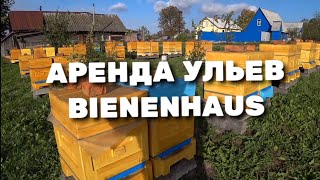 Аренда ульев от компании BIENENHAUS