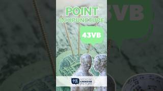 POINT D’ACUPUNCTURE - 43VB / Xia Xi #acupuncture #acupuncturepoints #medecinechinoise