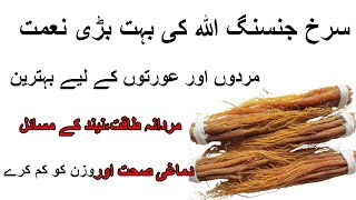 Red korean ginseng benefits in urdu|Hindi Red Panax Ginseng | side effects of red Korean ginseng?