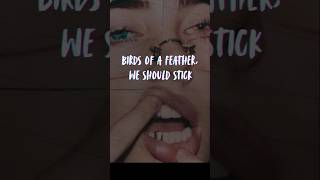 Billie Eilish BIRDS OF A FEATHER (Lyrics) birds of a feather we should stick together #billieeilish