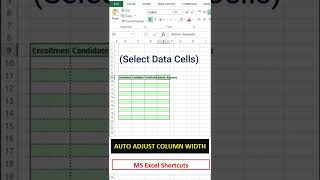 Excel Shortkeys | Auto Adjust Column Width | Excel Tips & Tricks