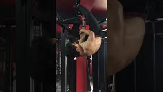 One arm calisthenics gorilla mode hand strength bars