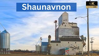 Shaunavon, SK [4K] Dashcam Video Oct 2022