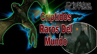 Criptozoología | LOS 5 CRIPTIDOS/CRIATURAS MÁS EXTRAÑOS DEL MUNDO | Criptidos A LA Vista