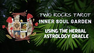 The Herbal Astrology Oracle How I plan On Using It