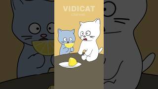 Cats and lemon #animation #fun #cat