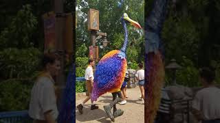 Kevin squawking @ Disney's Animal Kingdom