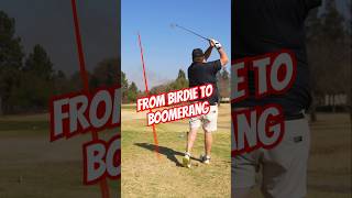 From Birdie to Boomerang