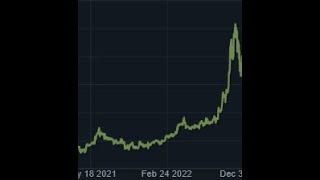 Steam'de neye yatırım yapmalısınız ?