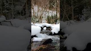 Frosty Haven: Snow-Clad Rocks Along the Forest River's Serene Flow ❄️🌲