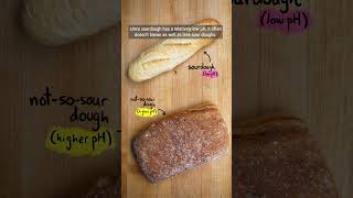 Why Your Sourdough Bread Isn't Getting Brown