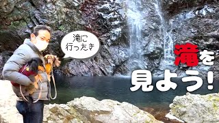 【犬連れランチ】東京都楢原村の払沢の滝行ってきた!激うまハンバーガーのあるあきる野市の「カフェ モハベ」さんでランチもしたよ!ペットショップの売れ残りと元保護犬とお出かけ