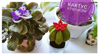 ЦВЕТУЩИЙ КАКТУС КРЮЧКОМ 🌵Crochet cactus