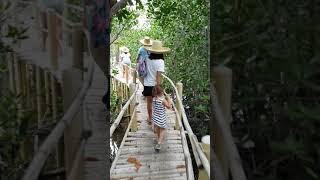 Vacation 2019 Bantayan Island/ Travel vlog..