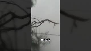 During the storm - Hurricane Ian - video 20 #shorts