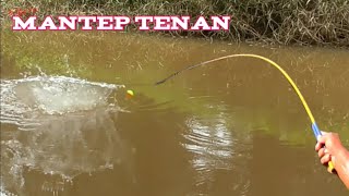 Kolam apa parit kok ikanya banyak banget|| mancing betok