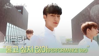 세븐틴 - 울고 싶지 않아(PERFORMANCE Ver.) l #피크닉라이브소풍 l EP.111