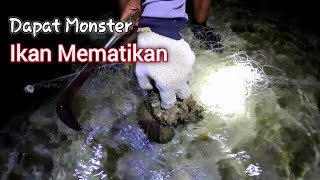 NGERII !!! Jaring / Pukat Ikan Malam Hari Dapat Hewan Mematikan