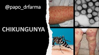 Saiba mais sobre CHIKUNGUNYA