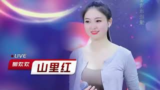 柳欢欢一首《山里红》唱出爱意，红红的心等你疼,音乐,民俗音乐,好看视频