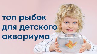 Топ рыбок для детского аквариума