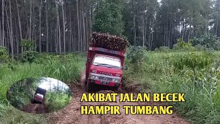 DYNA RINO KESULITAN DIJALAN INI || BONGKAR BANYUWANGI || TRUK TEBU