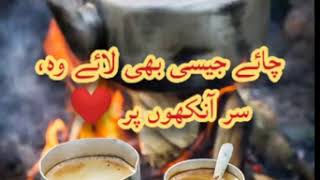 Whatsapp Status Video 💟 Chai Shairi Status 💟 2 lines Poetry