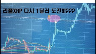 리플 XRP 다시 1달러 도전!? 난포기를모르지 암호화폐 비트코인 스텔라 xlm flr