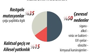 Kanser nedir? Kanserin nedenleri nelerdir? Kanser önlenebilir mi?