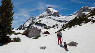 From Capanna Alpina to Limo Pass - Natural Park Fanes Sennes Braies